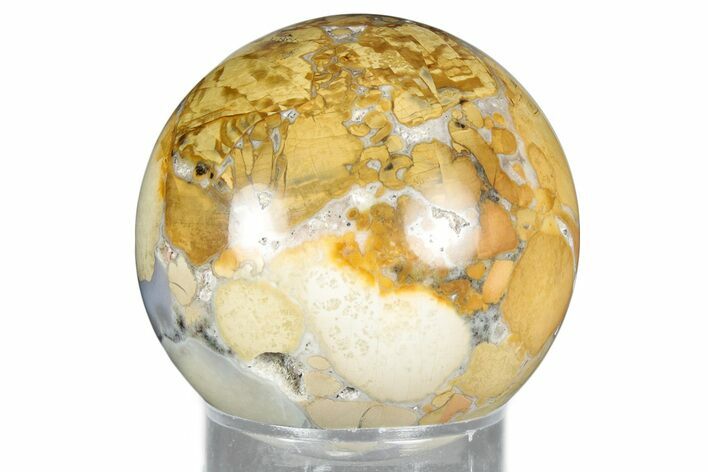 Polished Orbicular King Cobra Jasper Sphere - India #327406